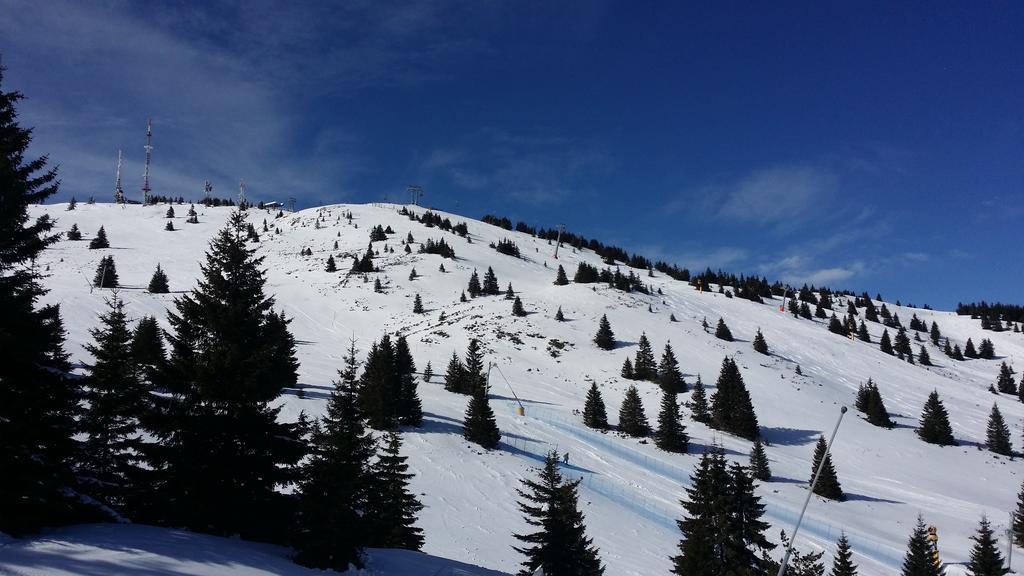 Apartments Vila Zubovic Kopaonik Esterno foto