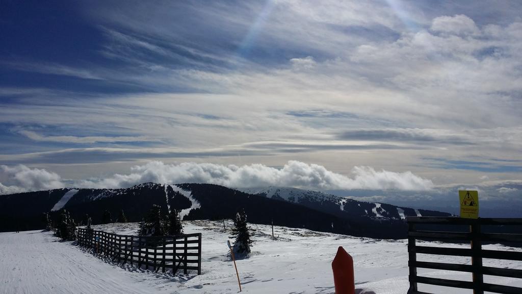 Apartments Vila Zubovic Kopaonik Esterno foto