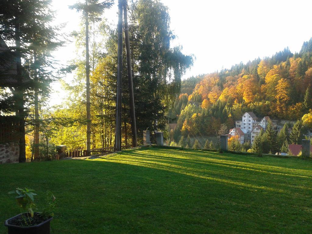 Apartments Vila Zubovic Kopaonik Esterno foto