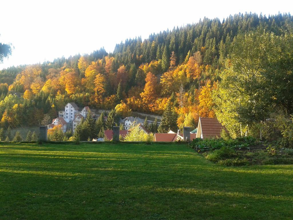 Apartments Vila Zubovic Kopaonik Esterno foto